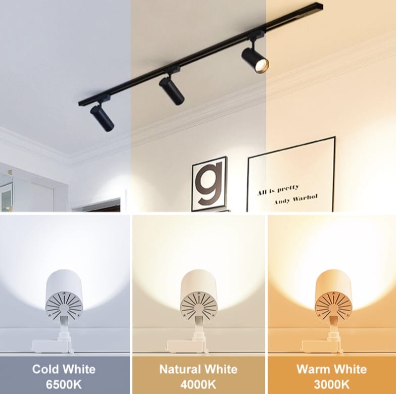 Ceiling Mounted COB Track Light ( 20 Watt)