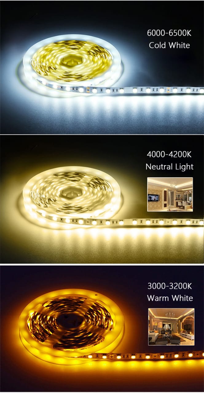 SMD Strip Light IP23 / 24 Volt  , Rs 3500/Role > 10Meter